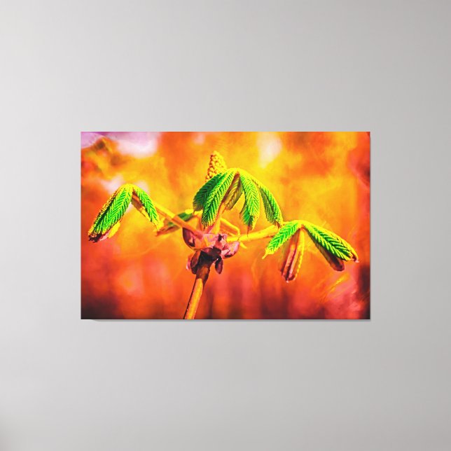 Impressão Em Tela Dança De Fogo (Frente)
