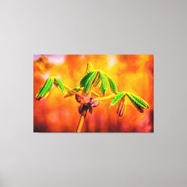 Impressão Em Tela Dança De Fogo (Frente)