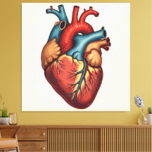 „Das menschliche Herz – Zentrum des Lebens“