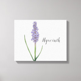 Impressão em Tela de Aquarela de Flor de Jacinto