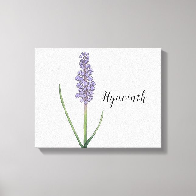 Impressão em Tela de Aquarela de Flor de Jacinto (Frente)