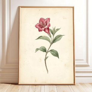 Impressão em Tela de Arte Botânica Weigela Vintage
