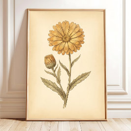 Impressão em Tela de Arte de Flor de Calendula