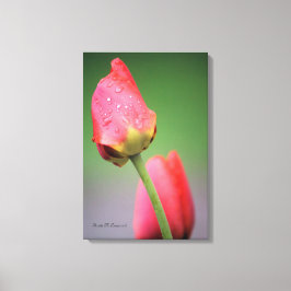 Impressão em tela de dois tulipas rosa