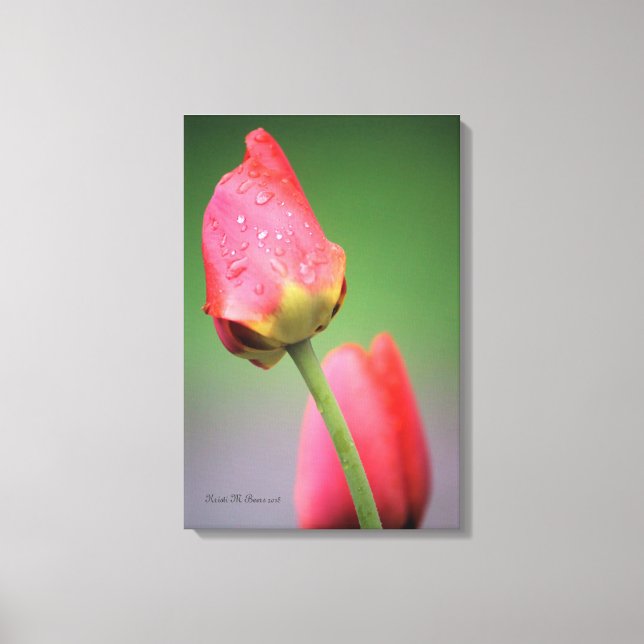 Impressão em tela de dois tulipas rosa (Frente)