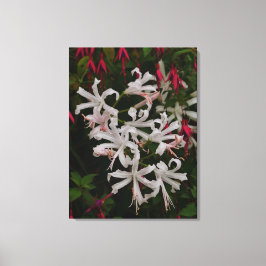 Impressão em Tela de Flores Brancas de Nerine