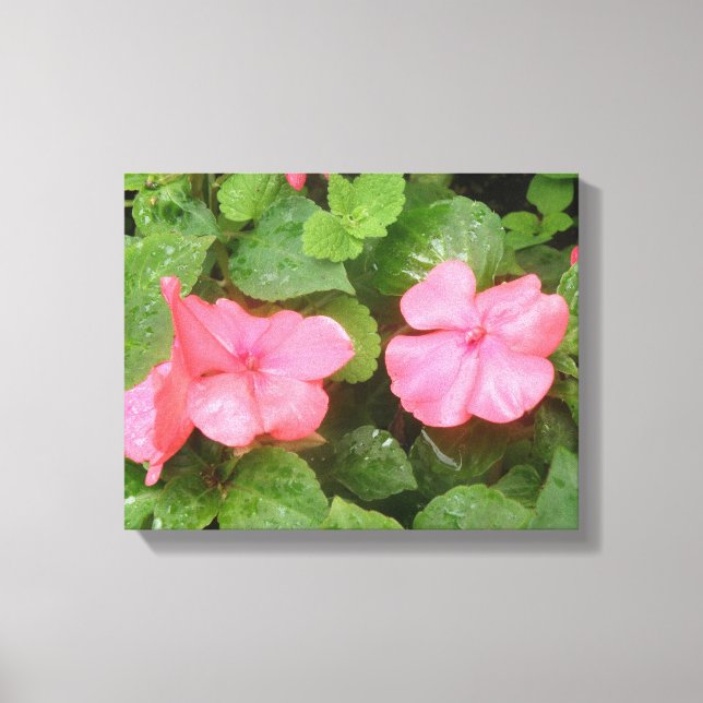 Impressão em Tela de Flores de Impatiens Rosa (Frente)