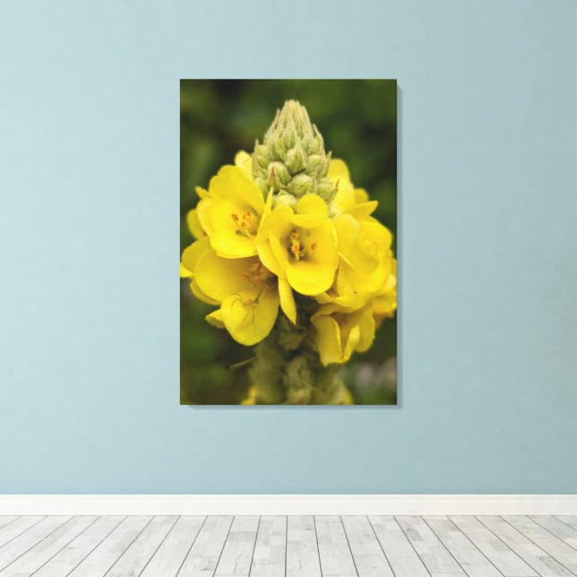 Impressão em Tela de Fotografia da Natureza (Insitu(piso de madeira))