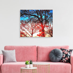 Impressão em Tela de Fotografia de Carvalhos Moder