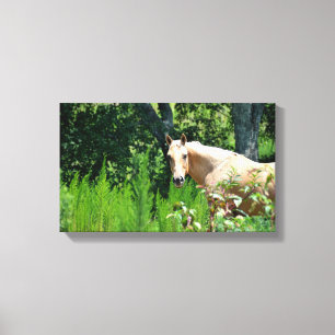 Impressão em Tela de Fotografia de Cavalo Palomino