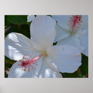 Impressão em Tela de Fragrância Floral