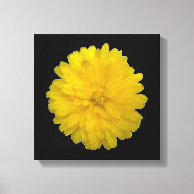Impressão em Tela de Marigold Amarelo (Frente)