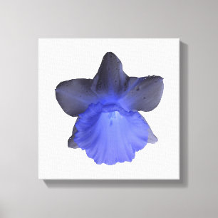 Impressão em Tela de Narciso Azul Sombrio Pingando