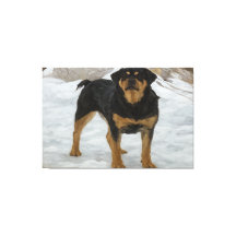 Impressão em Tela de Rottweiler