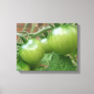 Impressão em Tela de Tomates Verdes