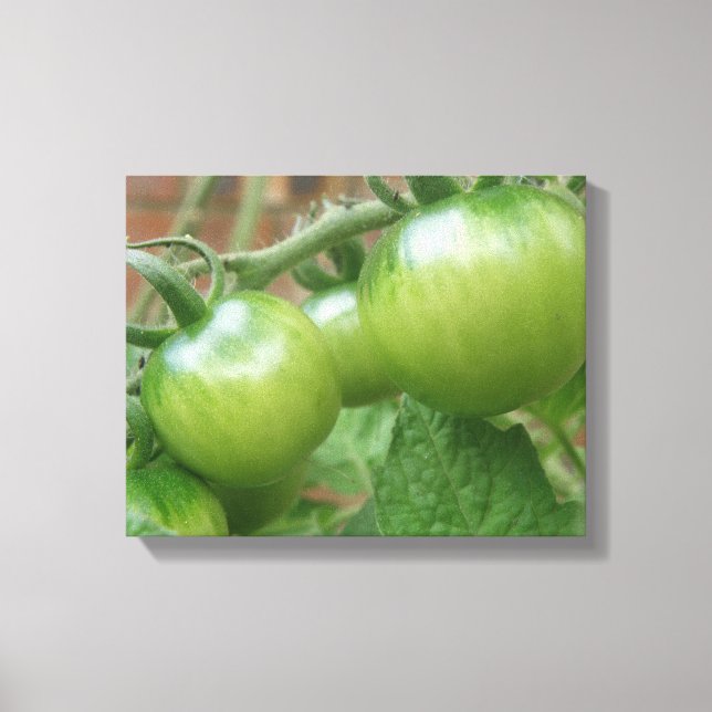 Impressão em Tela de Tomates Verdes (Frente)