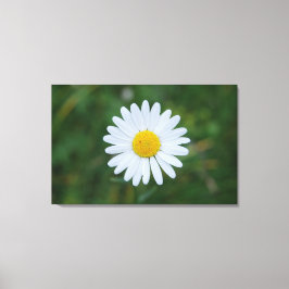 impressão em tela de uma grande flor de margarida