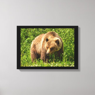 Impressão em Tela de Urso Cinzento Desajeitado
