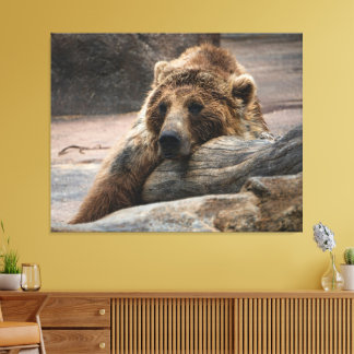 Impressão em tela de Urso Pardo Adormecido Esticad
