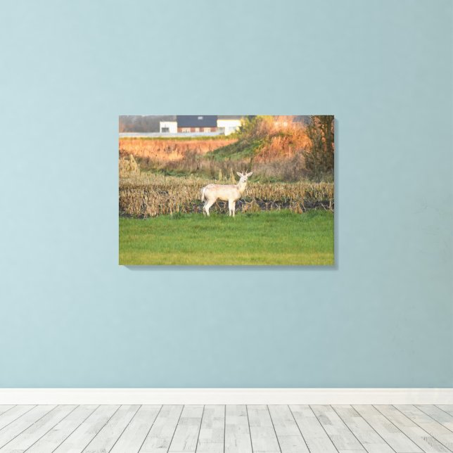 Impressão Em Tela Deer (Insitu(piso de madeira))
