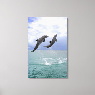 Impressão Em Tela Delfin (Tuemmler mais bruto)