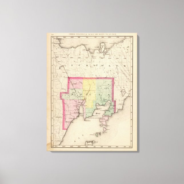 Impressão Em Tela Delta County Michigan (Frente)