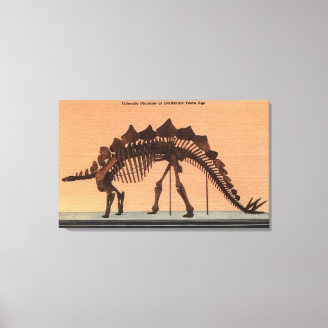 Impressão Em Tela Denver, Colorado - Museu de História Natural (Frente)