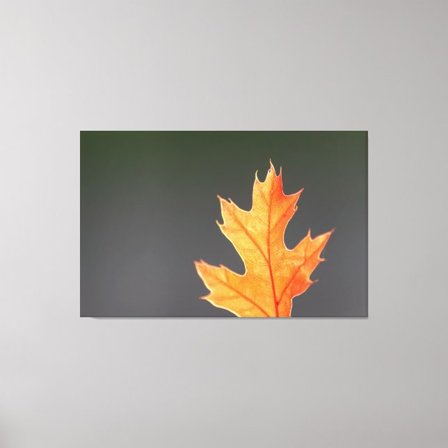 Impressão Em Tela Der Herbst von seiner schönsten Seite! (Frente)