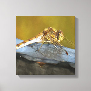 Impressão Em Tela Descansar a pintura realista do Dragonfly de Ochre