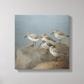 Impressão Em Tela Descanso de Sanderlings #2 Pintura de Ezartesa