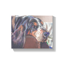 desenho a cores do lápis do cão de caça basset na