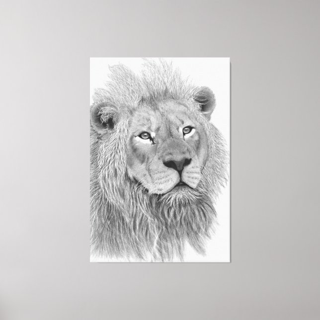 Impressão Em Tela Desenho a lápis de Leão Africano Macho (Frente)