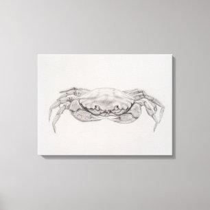 Impressão Em Tela Desenho De Caranguejo Costeiro