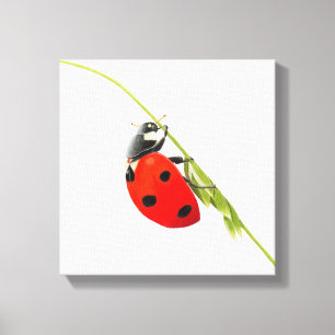 Impressão Em Tela Desenho de Ladybug