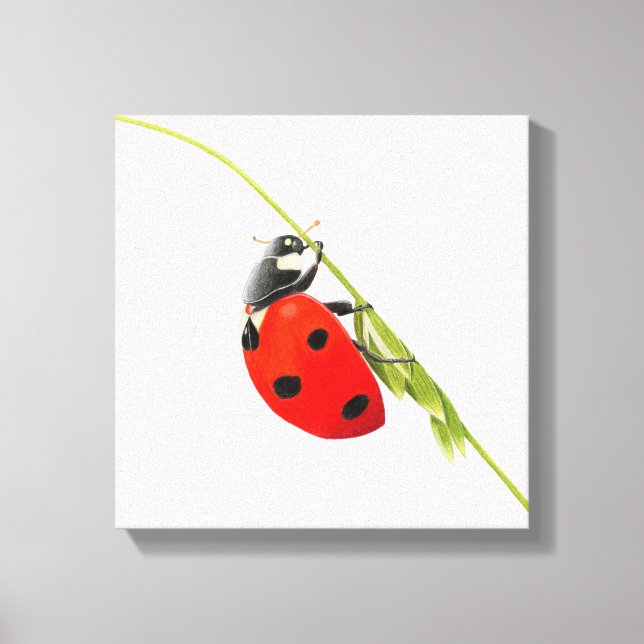 Impressão Em Tela Desenho de Ladybug (Frente)