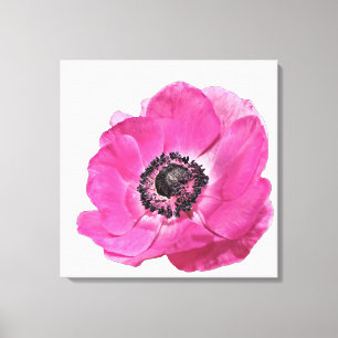 Impressão Em Tela Desenho Floral de Flor de Papoula Rosa Brilhante B