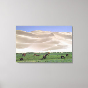Impressão Em Tela Deserto de Gobi Cavalos Selvagens