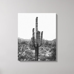 Impressão Em Tela Deserto Negro e Branco Saguaro Cactus 16x20
