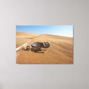 Impressão Em Tela Desertos Namaqua Chameleon no Deserto