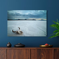 Deserts | Bonneville Salt Flats Utah
