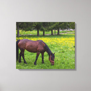 Impressão Em Tela Desfiladeiro de Tihuta, Cavalo no Pasto
