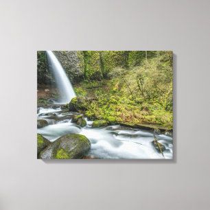 Impressão Em Tela Desfiladeiro do Rio Columbia, Ponytail Falls