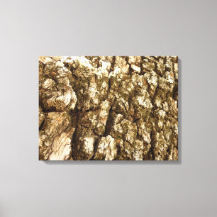 Impressão Em Tela Design de Textura Natural II Casca de Árvore