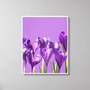 Impressão Em Tela Despertar do Crocus Roxo