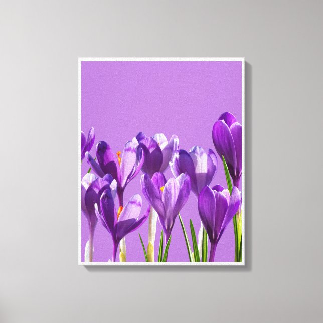 Impressão Em Tela Despertar do Crocus Roxo (Frente)