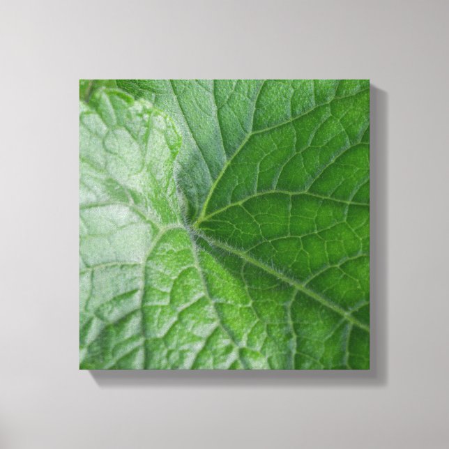 Impressão Em Tela Detalhe de Vein de Folha Verde (Frente)