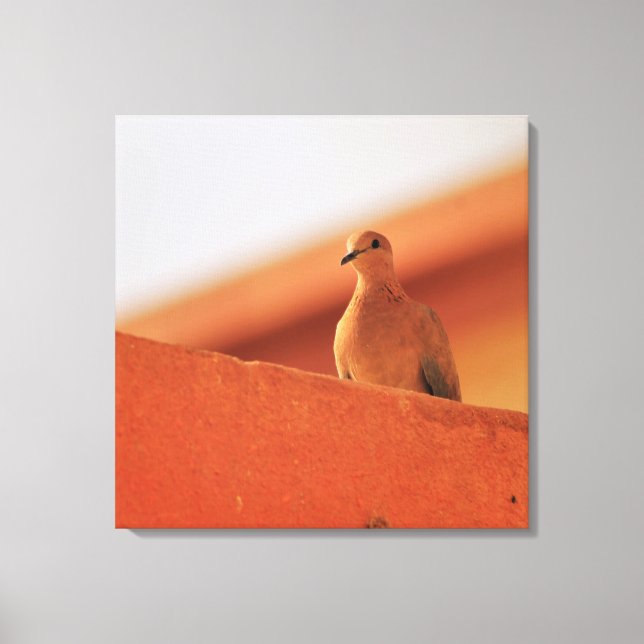 Impressão Em Tela Determinação (Frente)