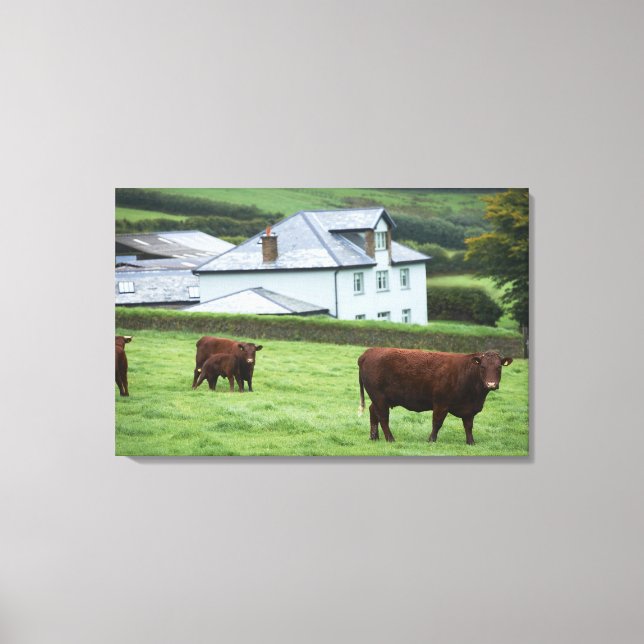 Impressão Em Tela Devon, Inglaterra (Frente)