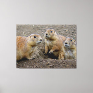 Impressão Em Tela Dia de Groundhog