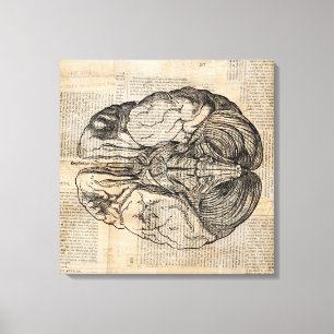Impressão Em Tela Diagrama Antiquado do Cérebro Arte Moída Antiga
